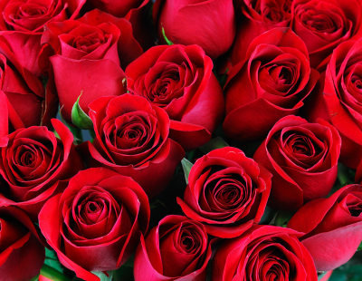 Beställ blommor till begravning Södertälje - Begravningsbyrå Södertälje - Södertälje Begravningsbyrå Södertälje - Begravningar Södertälje Beställ blommor till begravning Södertälje - Begravningsbyrå Södertälje - Södertälje Begravningsbyrå Södertälje - Begravningar Södertälje