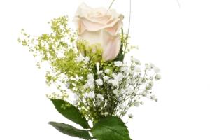 Blommor till begravning Södertälje - Kondoleansblommor - handbukett